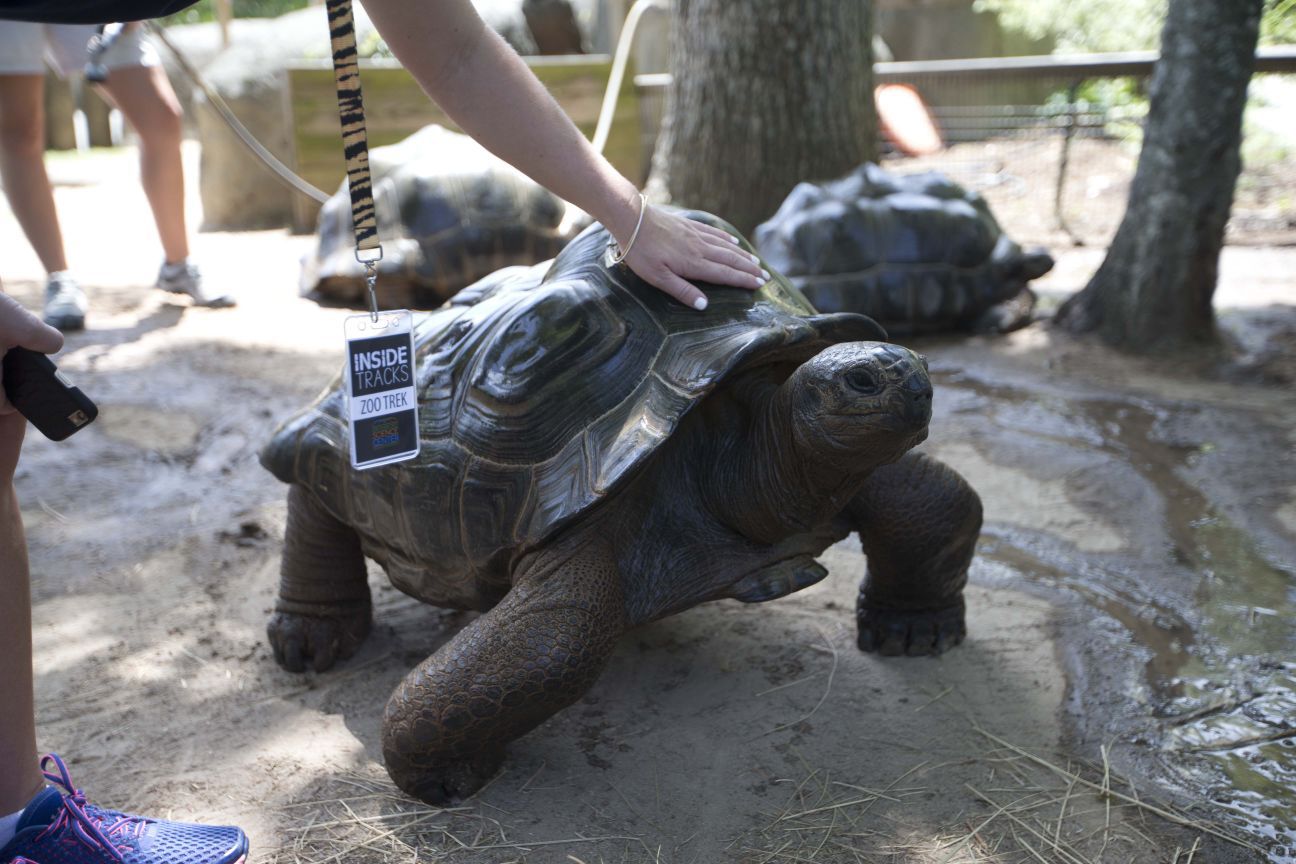 Greensboro Science Center introduces Inside Track: Zoo Trek program
